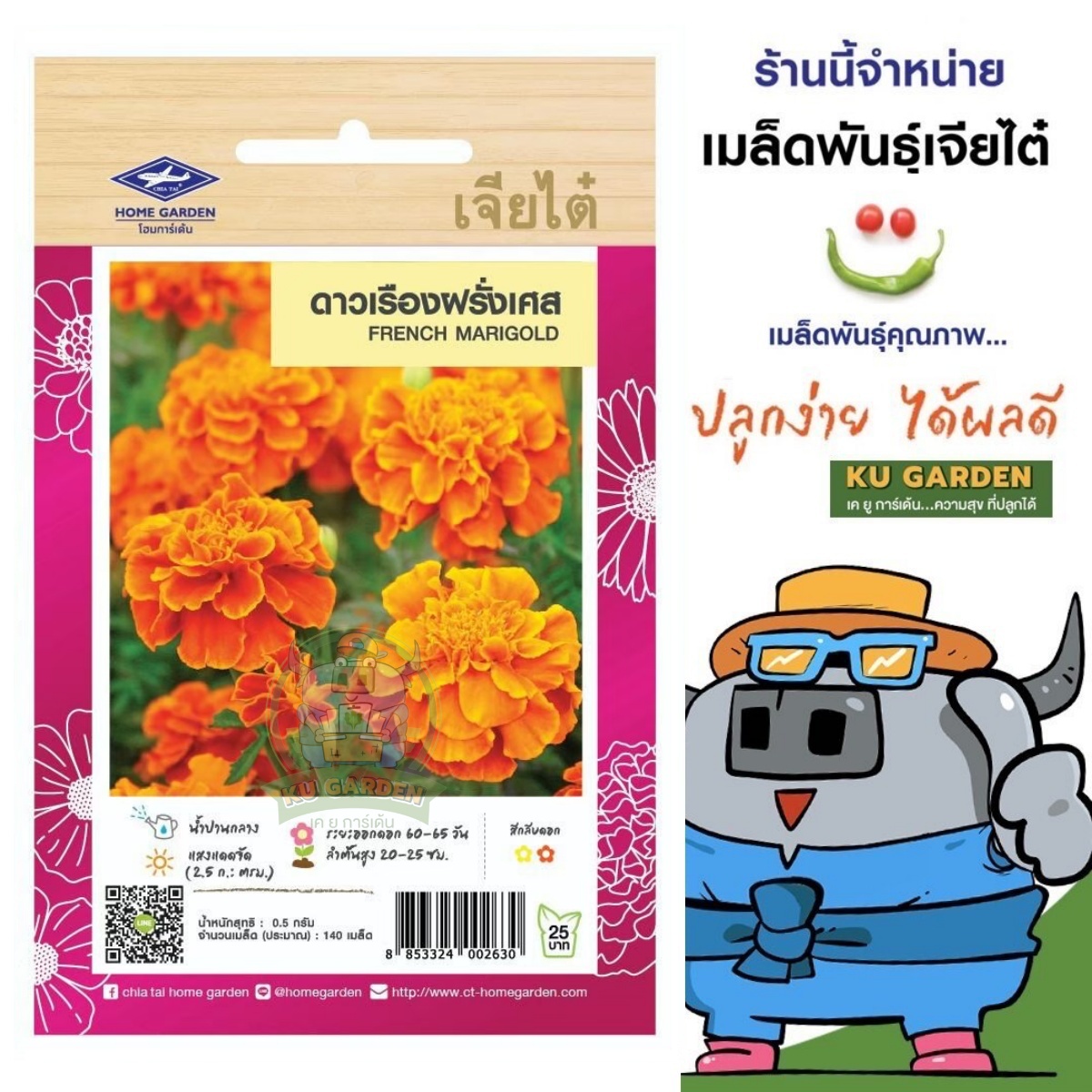 CHIATAI 🇹🇭 เมล็ดพันธุ์ดอกไม้ เจียไต๋ ดาวเรืองฝรั่งเศส F1#H006 ดาวเรือง เมล็ดพันธุ์ ดอกไม้ เมล็ดดอกไม้ ตราเครื่องบิน