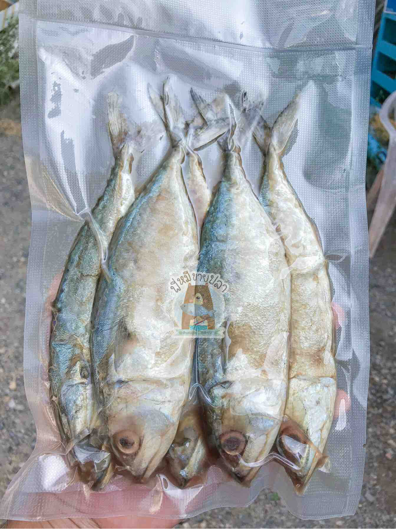 ปลาทูหอม เกรด A (500 กรัม 4-5 ตัว) ปลอดสาร 100%