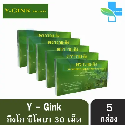 Y-Gink Ginkgo Biloba วาย กิง ใบแป๊ะก๊วยสกัด เสริมสร้างความจำและบำรุงสมอง ช่วยในเรื่องของความคิดและสมาธิ (30 เม็ด) [5 กล่อง]