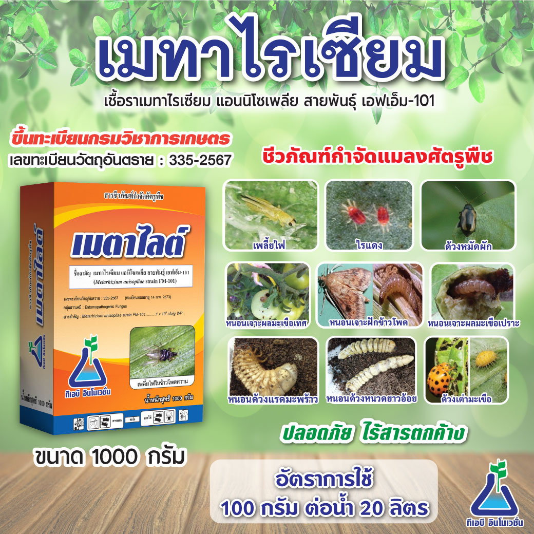 เมตาไลต์ 1 กก. Metalite 1 Kg biological insecticides to control Thrips, Metarhizium anisopliae strain, FM-101 Thrips, Spider mite, Sugarcane boring beetle and Coconut rhinoceros beetle ราคา 429 บาท*ส่งฟรี