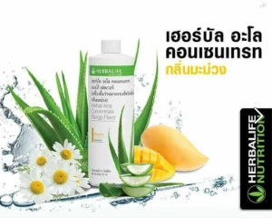 ภาพหน้าปกสินค้าHerbalife Herbal Aloe Concentrate Mango Flavor เฮอร์บัล อะโล คอนเซนเทรด แมงโก้ เฟลเวอร์ Herbalife ที่เกี่ยวข้อง