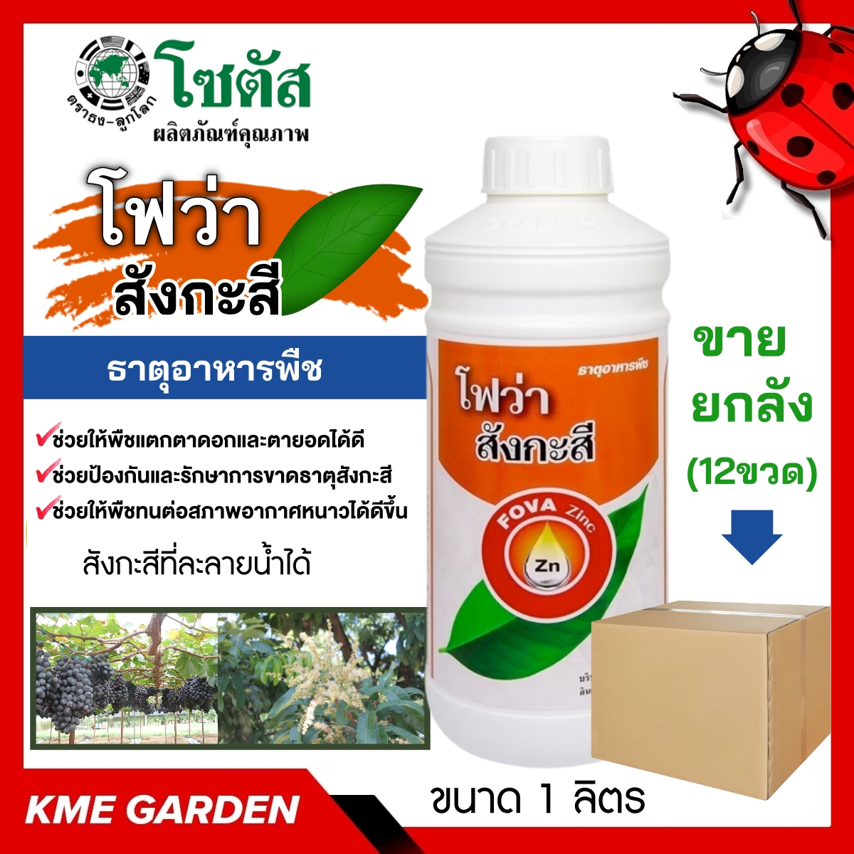 ***ขายยกลัง*** 🍄อาหารเสริม🍄 โฟว่า สังกะสี ขนาด 1 ลิตร บรรจุ 12 ขวด ป้องกันการขาดธาตุสังกะสีที่ทำให้เกิดอาการใบแก้ว ใบลาย ในพืชตระกูลส้ม