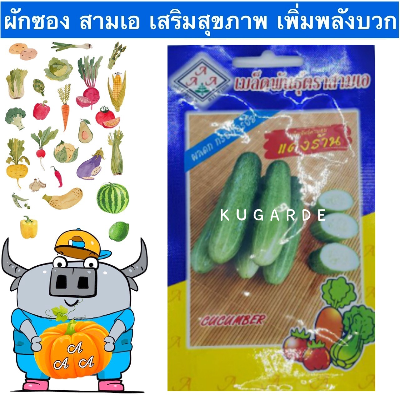 AAA 🇹🇭 ผักซอง สามเอ A164 แตงร้าน ตำแตง เมล็ดพันธุ์ เมล็ดพันธุ์ผัก เมล็ดผัก ผักสวนครัว ตราAAA