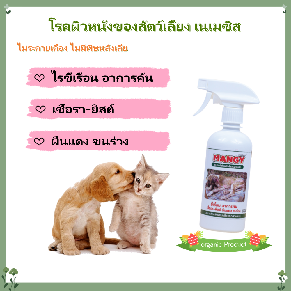Mangy Spray For Pet reduces itching, hair loss, scabies, dermatitis, made from 100% herbs, skin care spray, safe for pets. ราคา 103 บาท*ส่งฟรี