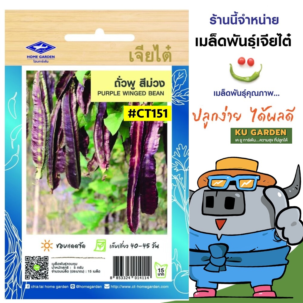 CHIATAI 🇹🇭 ผักซอง เจียไต๋ O151#ถั่วพูสีม่วง ซองประมาณ 15 เมล็ด เมล็ดพันธุ์ผัก เมล็ดผัก เมล็ดพืช ผักสวนครัว