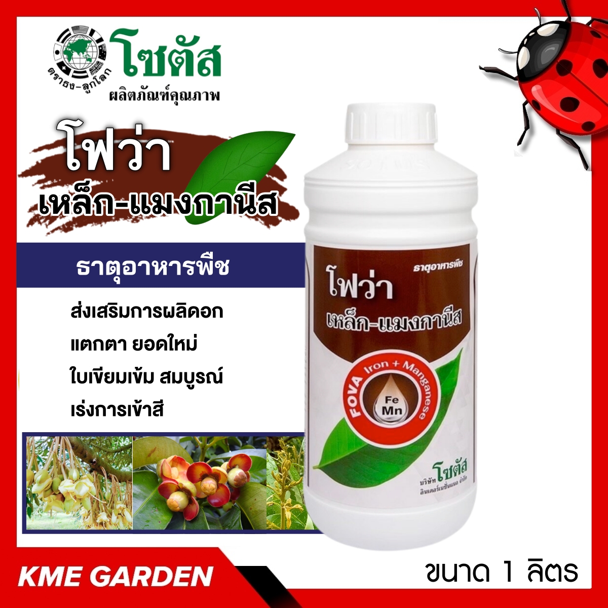 🍄อาหารเสริม🍄 โฟว่า เหล็ก-แมงกานีส ขนาด 1 ลิตร ส่งเสริมการผลิดอก แตกตา ยอดใหม่ใบเขียมเข้ม สมบูรณ์ ช่วยสร้างคลอโรฟิลล์