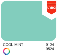 Nippon paint Junior 99 Exterior Matt สีน้ำ นิปปอน จูเนียร์ 99 ภายนอก ชนิด ด้าน ถัง ใหญ่ ขนาด 17.5 ลิตร