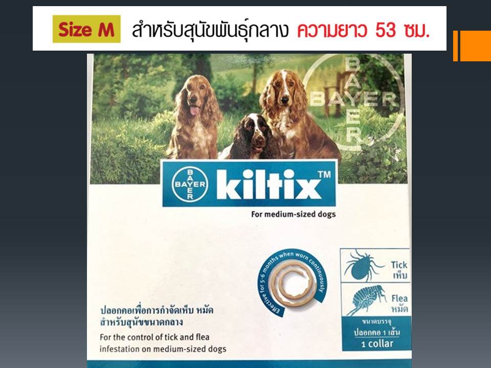 Bayer Kiltix Size M ปลอกคอกำจัดเห็บ หมัด ขนาดกลาง ความยาวสาย 53 ซม. (Size M)