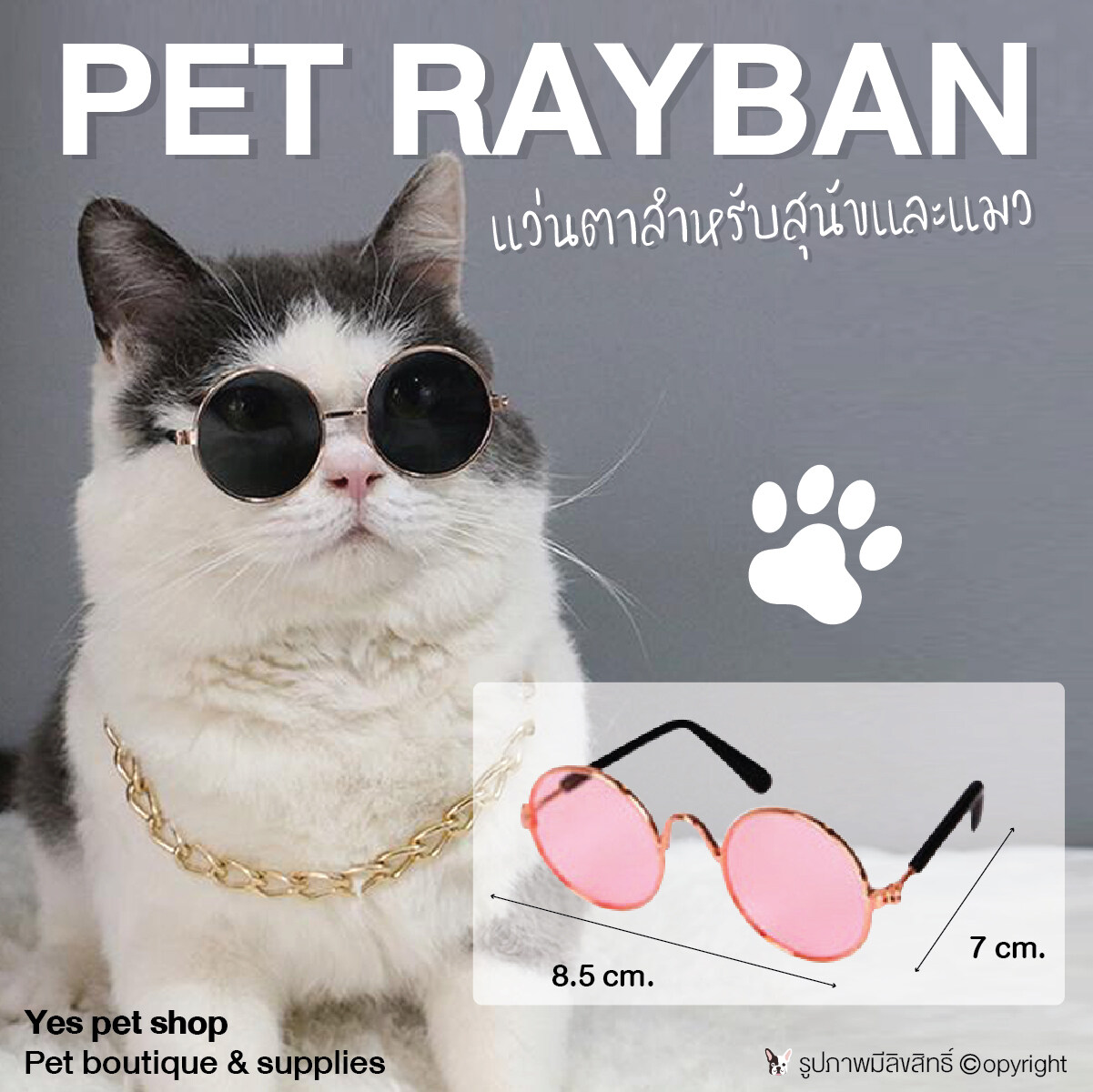 แว่นตาแมว แว่นตาสุนัขพันธุ์เล็ก แว่นตาสัตว์เล็ก Pet แว่นตาสัตว์เลี้ยง สีชมพู โดย Yes Pet Shop