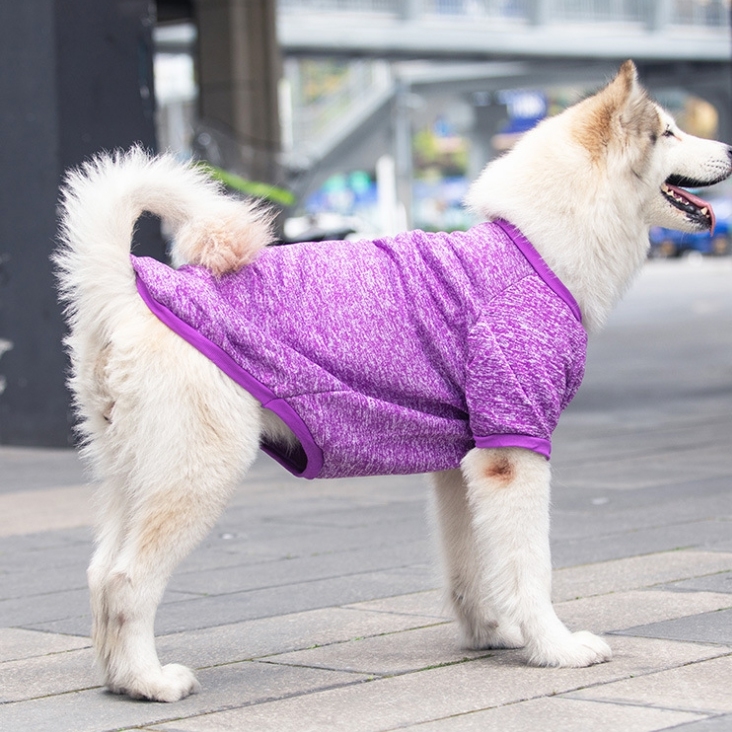 ?เสื้อยืดหมาโต? ไซส์สุนัขโต เสื้อน้องหมาโต กันหนาว เสื้อยืดสุนัข งานเย็บดีตรงปก เสื้อสัตว์เลี้ยง