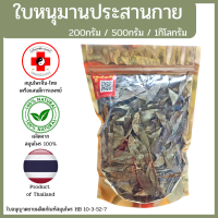 [แสนดีเภสัช] สมุนไพร ใบหนุมานประสานกาย อย่างดี
