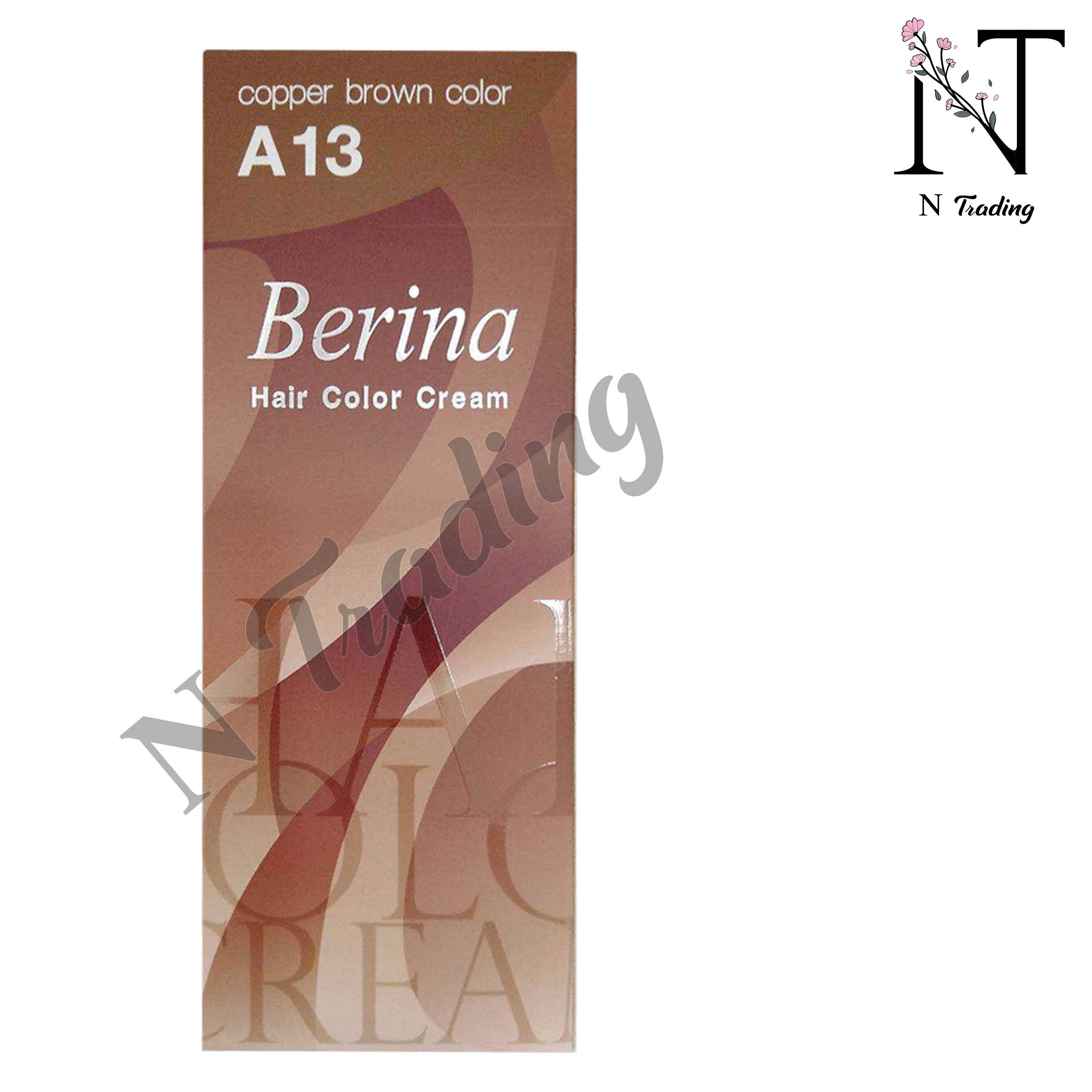 เบอริน่า ครีมย้อมผม / Berina Hair Color Cream ปริมาณสุทธิ 60 กรัม