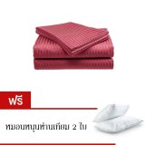 ชุดผ้าปูที่นอน ผ้าปูที่นอนรัดมุมผ้านุ่มกันไรฝุ่น CB Cotton 700 เส้น Peninsula Collection ขนาด 3.5 ฟุต 6 ชิ้น - Red แถมฟรีหมอนห่านเทียม 2 ใบ