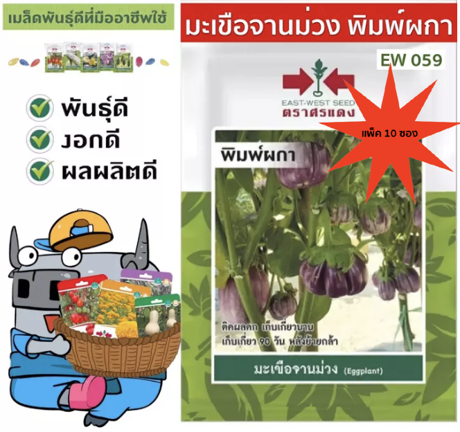 มะเขือจานม่วง พิมพ์ผกา-0