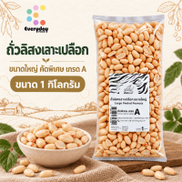 ถั่วลิสงเลาะเปลือก ขนาดใหญ่ 1 กก. ตราเสือบิน ถั่วลิสงดิบ เม็ดใหญ่ ขนาดจัมโบ้ สำหรับทำถั่วทอด ถั่วคั่ว ถั่วกรอบแก้ว (Large Peeled Peanuts)