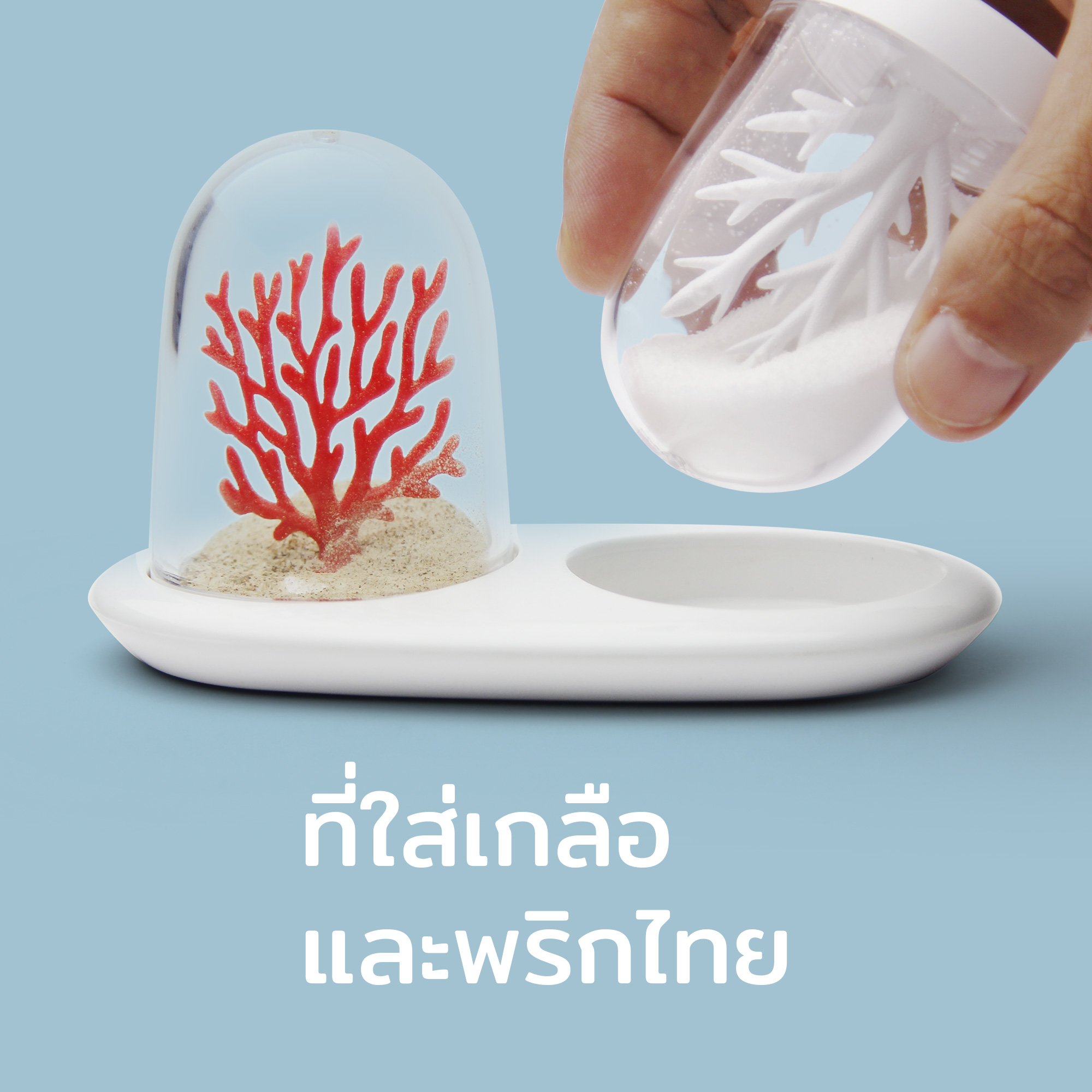 Coral Bleaching Salt & Pepper Shaker ที่ใส่เครื่องปรุง พริกไทยและเกลือ ดีไซน์ ปะการัง Qualy(ควอลี่) ราคา 700 บาท*ส่งฟรี