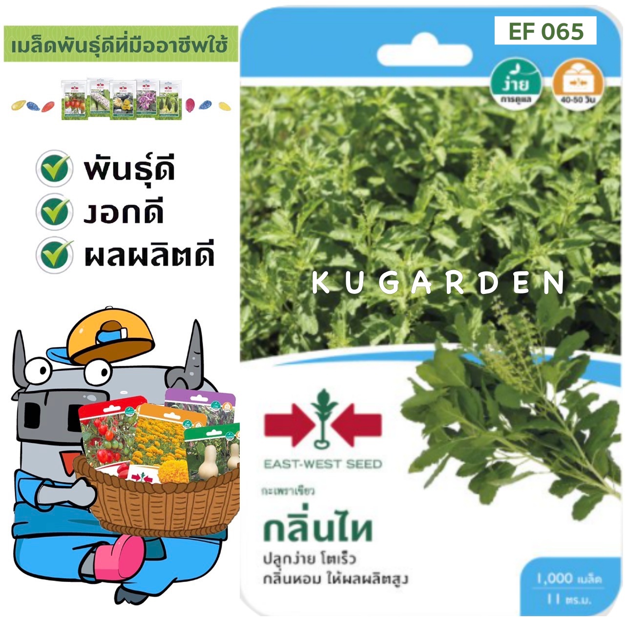 SORNDAENG 🇹🇭 ผักซอง ศรแดง S065# กะเพราเขียว กลิ่นไท F1 เมล็ดพันธุ์ กะเพรา เมล็ดพันธุ์ลูกผสม เมล็ดพันธุ์ผัก ผักสวนครัว ผักศรแดง