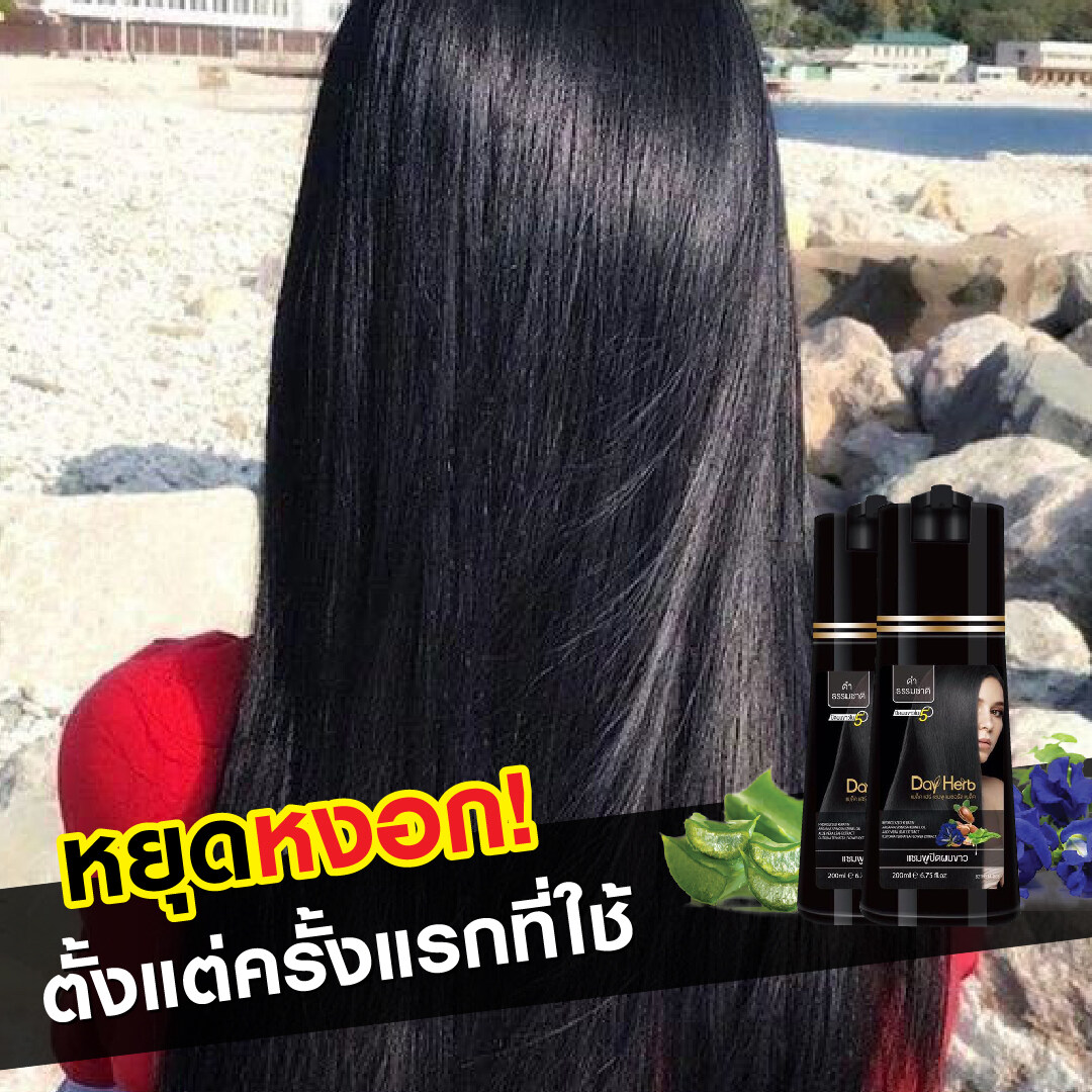 DayHerb แชมพู ปิดผมขาว สมุนไพรแท้ ปิดหงอก ลดหงอก ใน 5 นาที