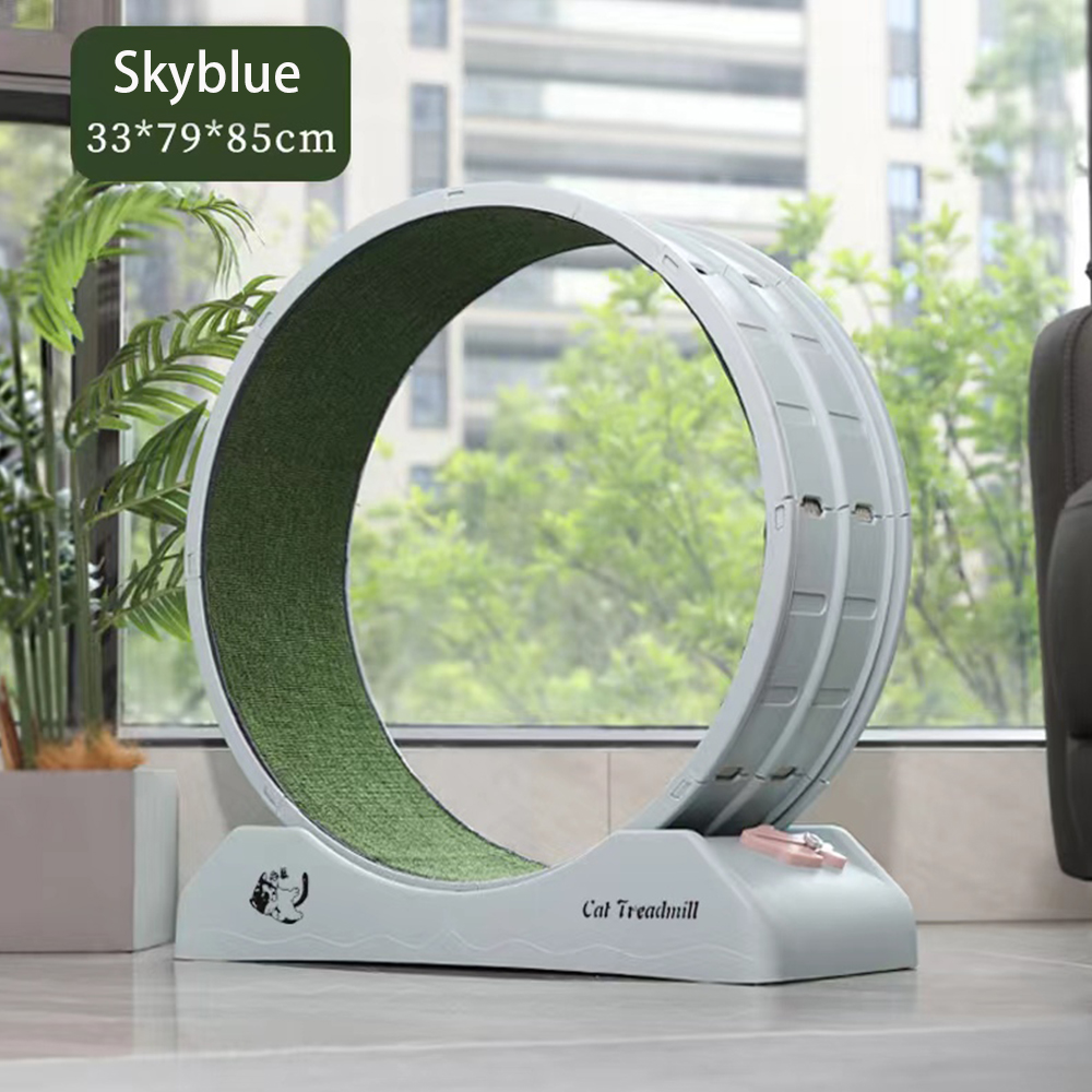 Boqi Factory ลู่วิ่งแมว ล้อวิ่งแมว โอเวอร์ไซส์ ของเล่นแมว ลู่วิ่งสัตว์เลี้ยง ของเล่นแมวอัตโนมัติ วงล้อแมว Running ราคา 1,056 บาท*ส่งฟรี