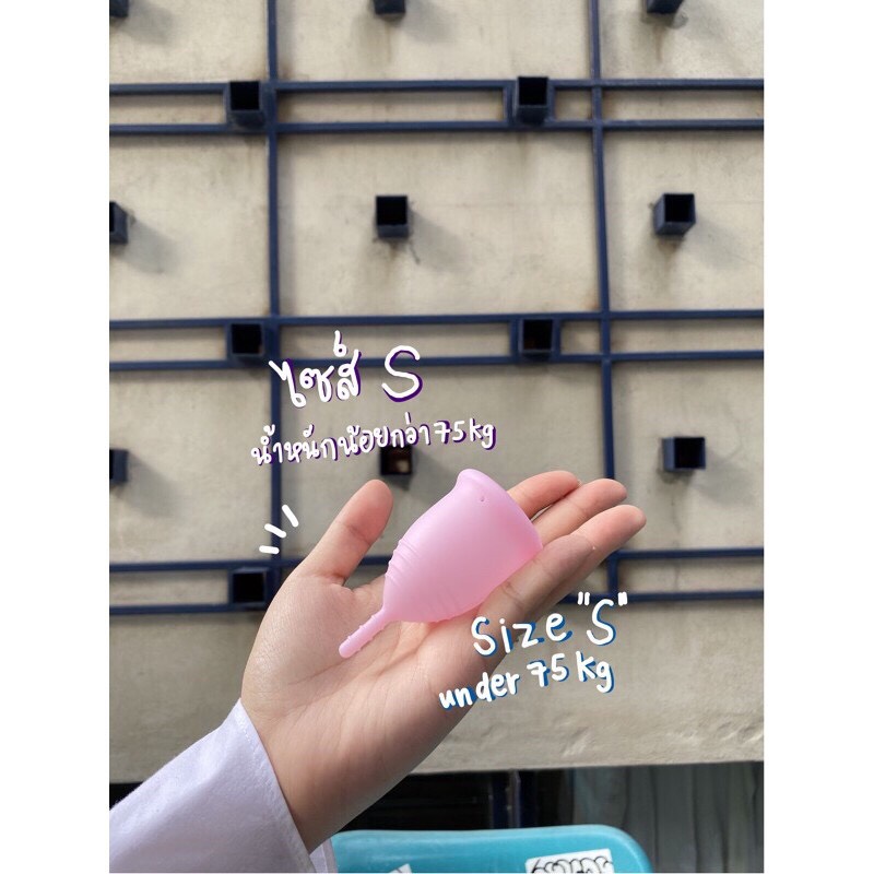 (พร้อมส่งทุกวัน)❗️แถมฟรีถุงผ้า❗️ถ้วยอนามัยEve🌈Eve menstrual cup🌈ถ้วยประจำเดือนeve