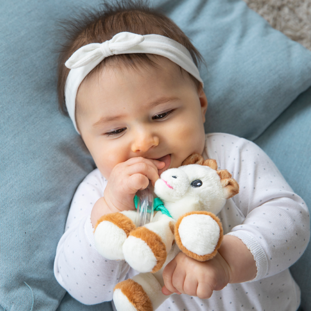 Sophie La Girafe Giraffe Doll with Rattle Ring Plush Balls Sophie La Girafe ราคา 1,350 บาท*ส่งฟรี