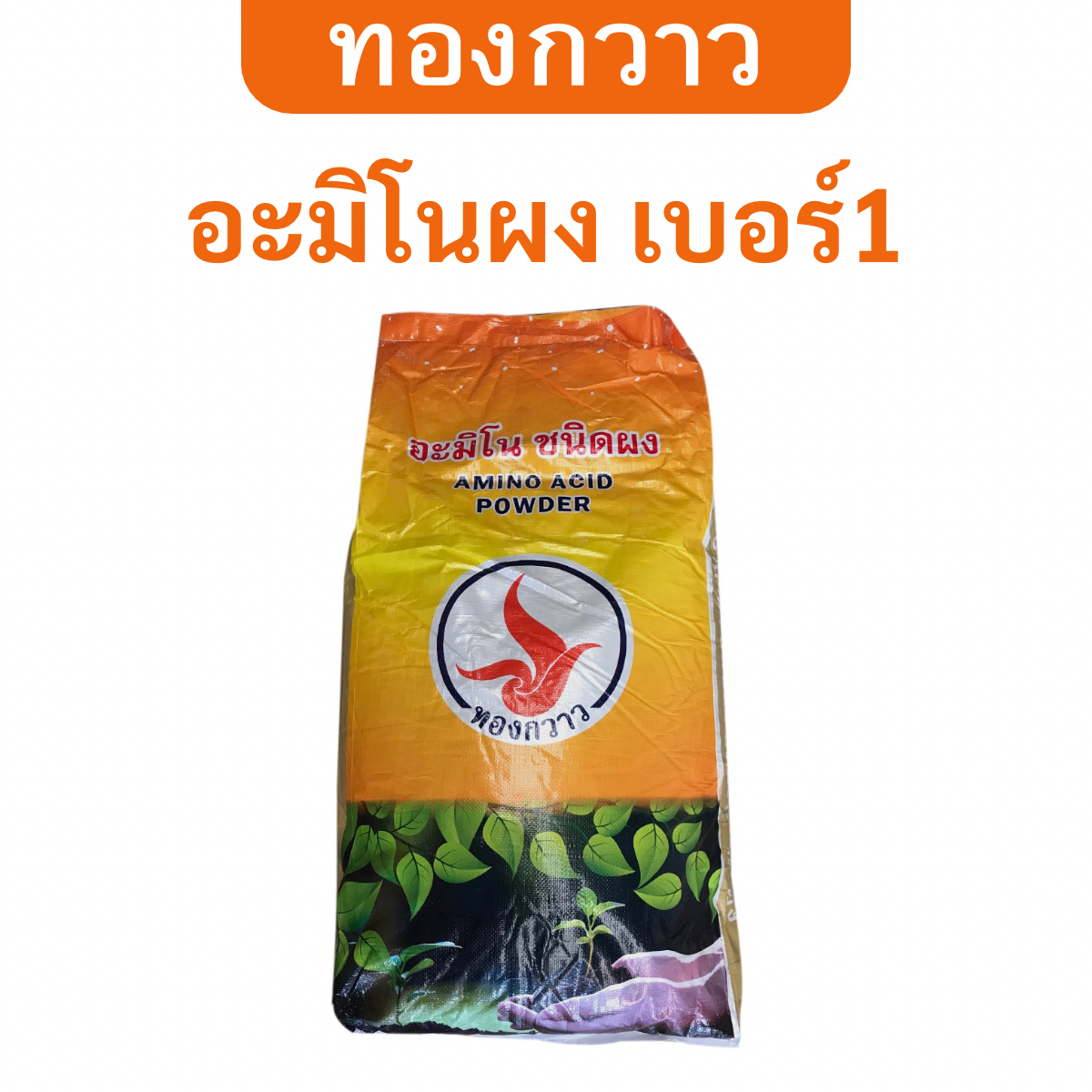 Amino Powder No. 1, Thong Kwaow Brand, 20 Kg. Water-Soluble, Concentrated Extract. - ยี่ห้อ ทองกวาว ราคา 1,299 บาท*ส่งฟรี