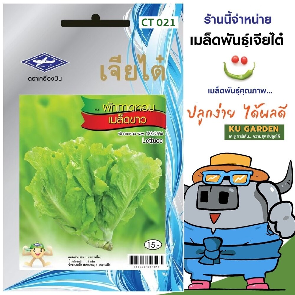 CHIATAI 🇹🇭 ผักซอง เจียไต๋ ผักกาดหอม เมล็ดขาว O021 ประมาณ 900 เมล็ด ผัดกาด เมล็ดพันธุ์ผัก เมล็ดผัก เมล็ดพืช ผักสวนครัว