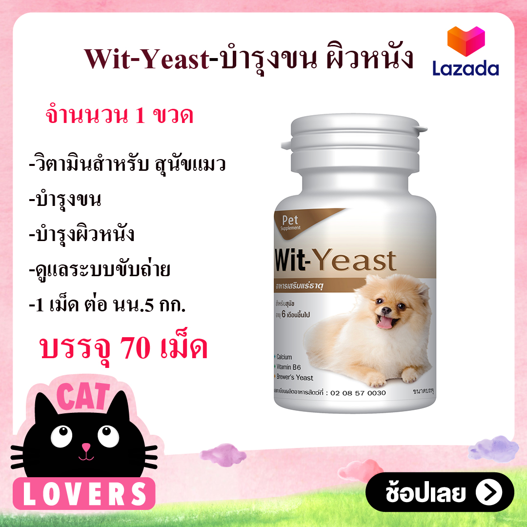 [บรรจุ 70 เม็ดจำนวน 1 ขวด]Wit-Yeast-Exp.10.22 อาหารเสริม วิตามิน บำรุงผิวหนัง บำรุงขน กล้ามเนื้อ ระบบขับถ่าย รสชาติดี สุนัขชอบ