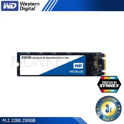 SSD 250GB WD BLUE 3D NAND SATA M.2 2280 By Synnex