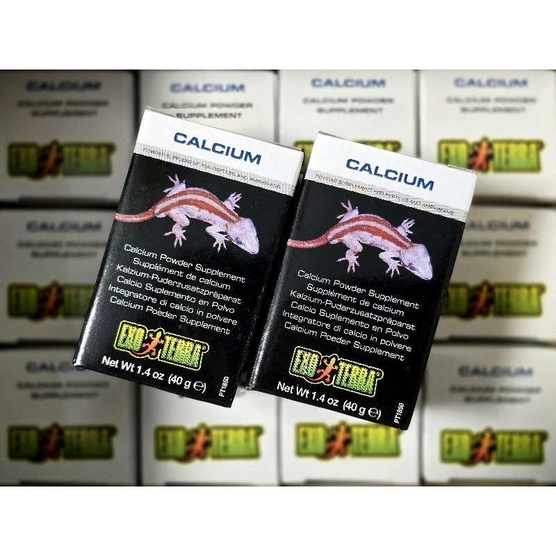 Exo Terra® Calcium Powder Supplement PT1850 40g / PT1851 90g / PT1852 450g 🦎 แคลเซียมเสริมสัตว์เลื้อยคลานและสัตว์ครึ่งบกครึ่งน้ำ DSMXO Exo Terra® Calcium Powder Supplement PT1850 40g / PT1851 90g / PT1852 450g 🦎 แคลเซียมเสริมสัตว์เลื้อยคลานและสัตว์ครึ่งบกครึ่งน้ำ DSMXO