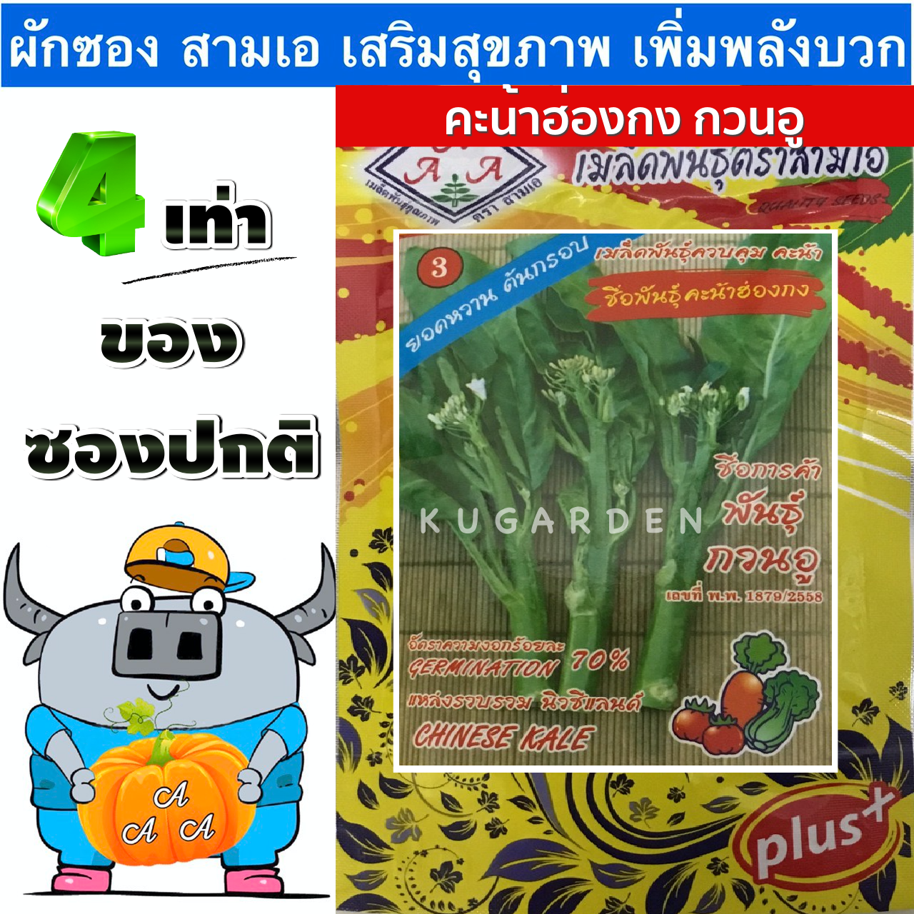 AAA 🇹🇭 ผักซอง 3A J006#คะน้าฮ่องกง(พันธุ์กวนอู)  ผักซองตั้ง คะน้า ผักซองจัมโบ้ เมล็ดพันธุ์ผัก AAA สามเอ ผักซองราคาถูก