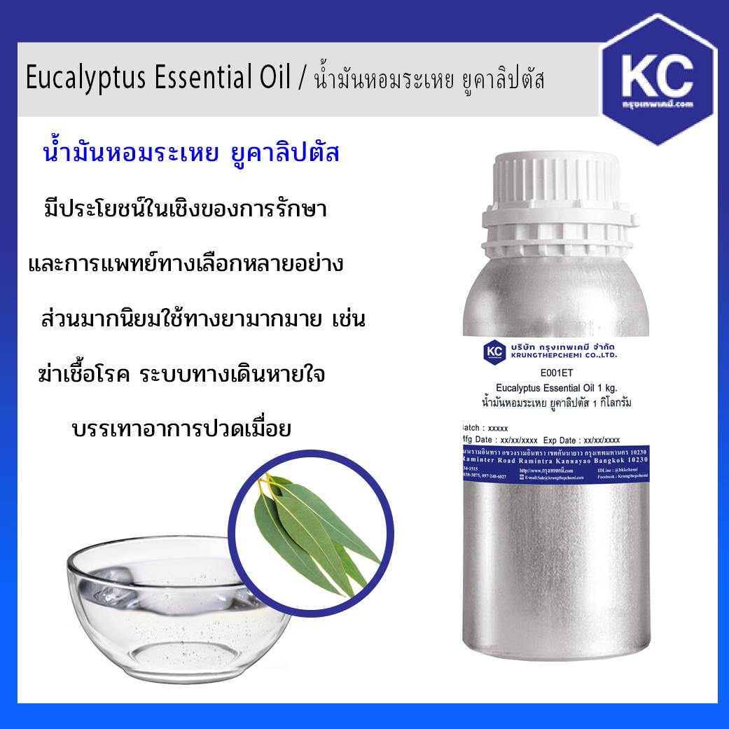 น้ำมันหอมระเหย ยูคาลิปตัส / Eucalyptus Essential