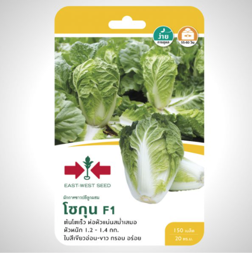 สีเขียว-1