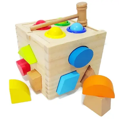 Todds & Kids Toys Shape Sorting and Knock the BALL