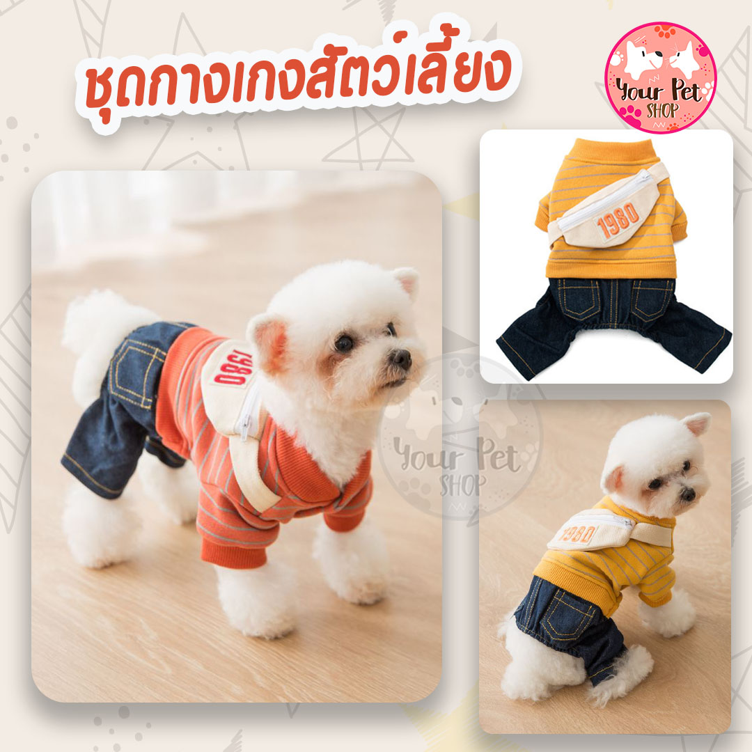 ชุดกางเกงสัตว์เลี้ยง เทห์มาก ชุดกางเกงหมา ชุดกางเกงแมว เสื้อหมา เสื้อแมว Dog Clothes, Dog Pants, Cat Clothes, Cat Pants