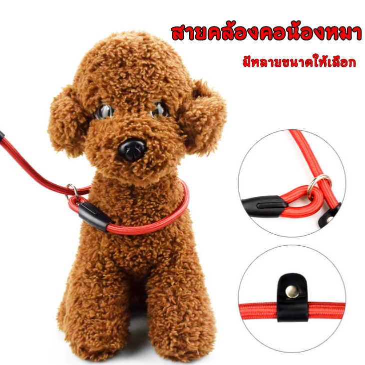 BABYPET สายจูงสุนัขสายคล้องคอแบบปรับได้ เชือกฝึกสุนัข สายจูง เชือกจูงสุนัข สายจูงสุนัข สายจูงหมา เชือกล่ามหมา​ ราคา 19 บาท*ส่งฟรี