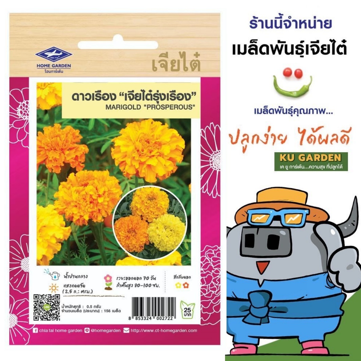 CHIATAI 🇹🇭 ดอกไม้ เจียไต๋ H007#ดาวเรือง "เจียไต๋รุ่งเรือง คละสี ดอกไม้ซอง ผักซอง เมล็ดพันธุ์ เมล็ดพันธุ์ผัก พันธุ์ดอกไม้ ดอกไม้เจียไต๋