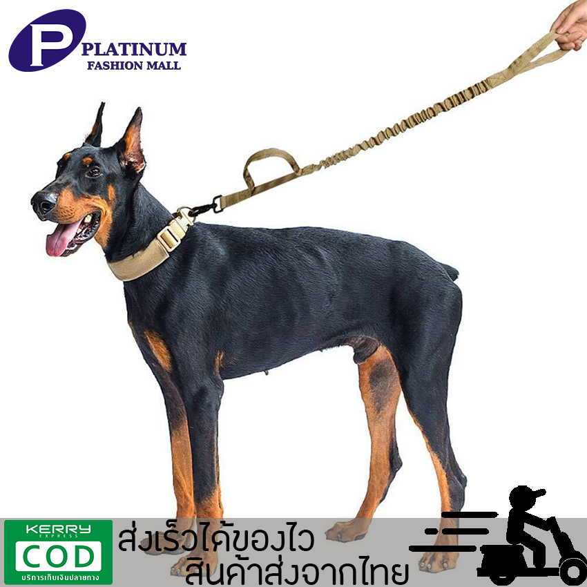 TOWAY-สายจูงสัตว์เลี้ยง สายจูงสุนัข สายจูงฝึกสุนัข สายพาสุนัขวิ่งเล่น เชือกอย่างดีแข็งแรงทนทาน รุ่น BB-B02 พร้อมส่งจากไทย