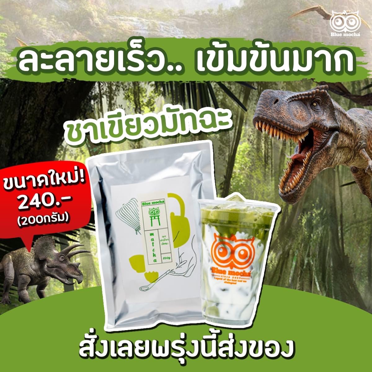 Macha Powder ราคา 240 บาท*ส่งฟรี