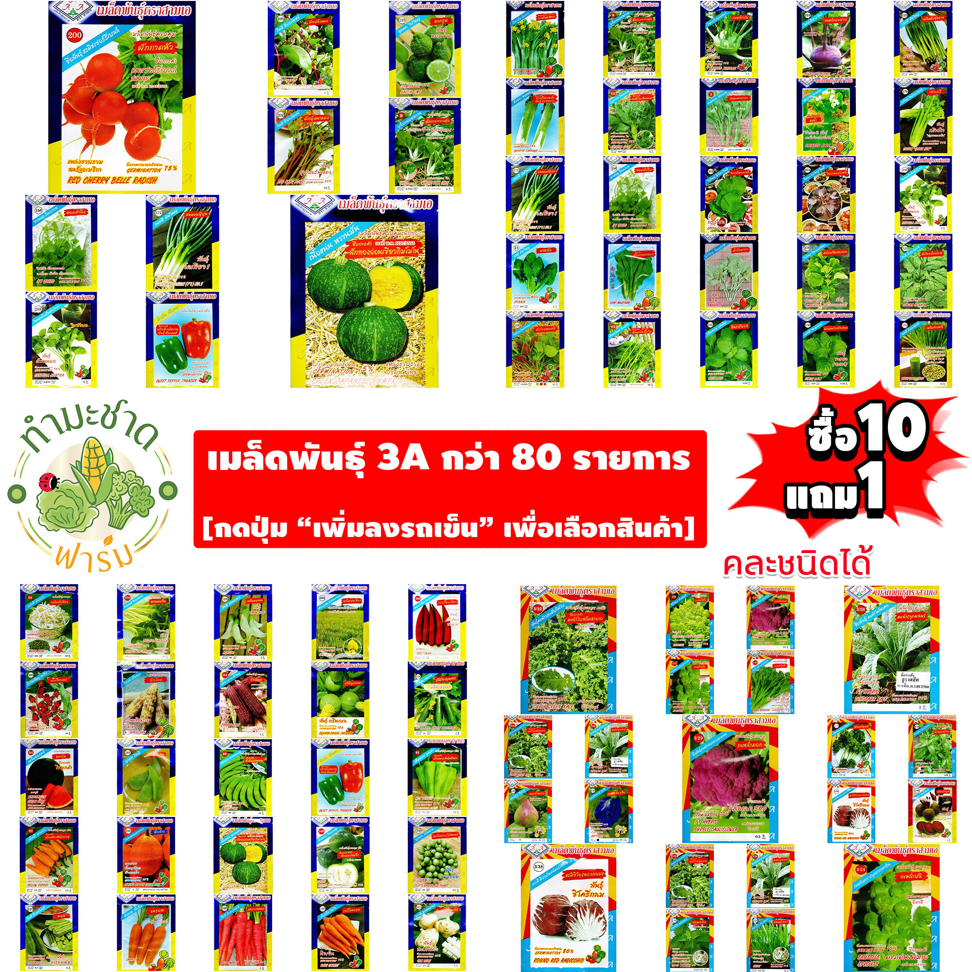 [ซื้อ 10แถม1] เมล็ดพันธุ์ผัก 3A 15-25฿ ผักสวนครัว ต้นหอมญี่ปุ่น ใบงาเกาหลี  ใบบัวบก  กุ้ยช่าย สะระแหน่ พริกหวาน แครอท ผักบุ้งแก้ว แรดิช ซูกินี