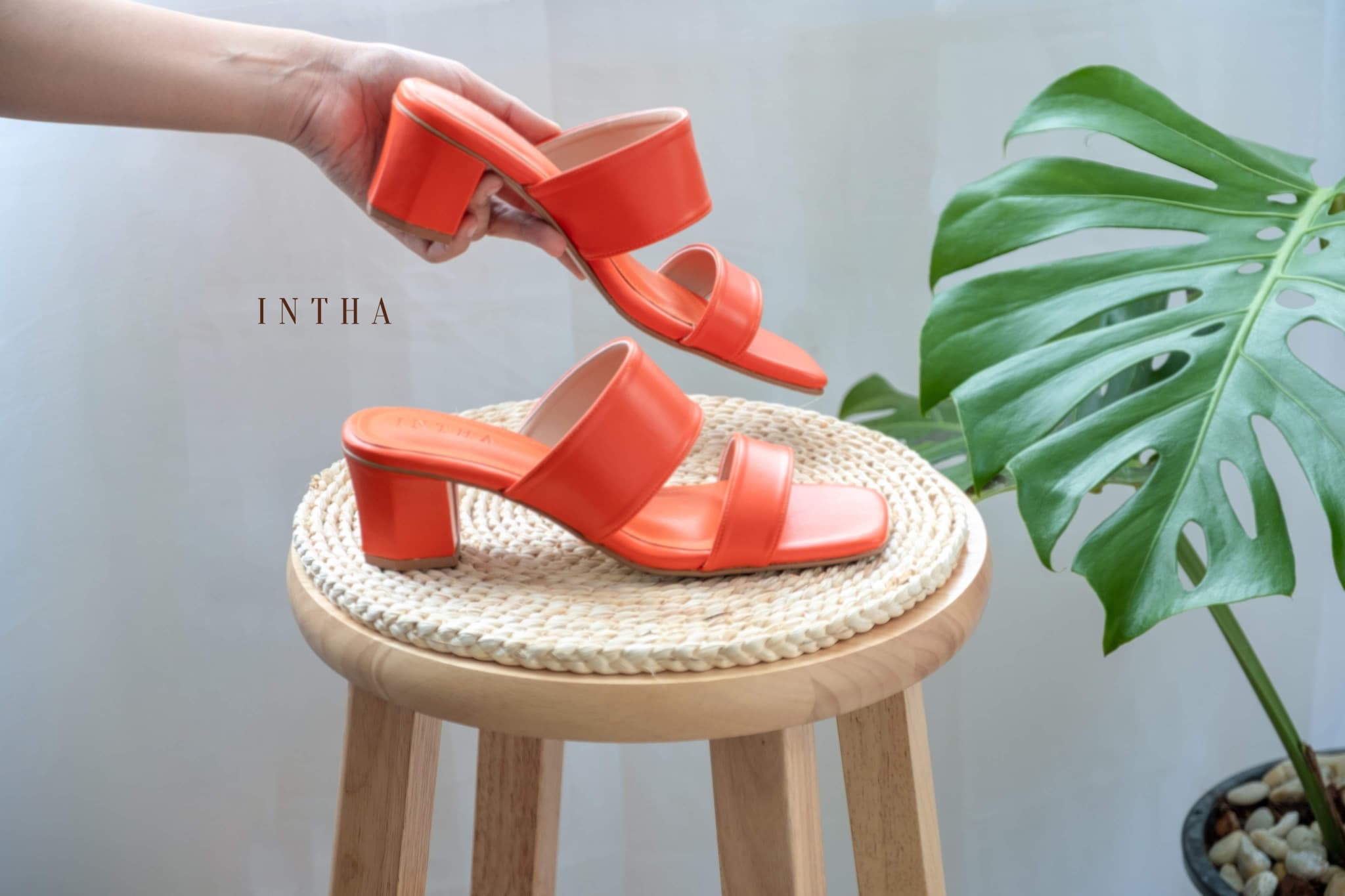 INTHA Brand Special fluffy INT001 #Orange ราคา 820 บาท*ส่งฟรี
