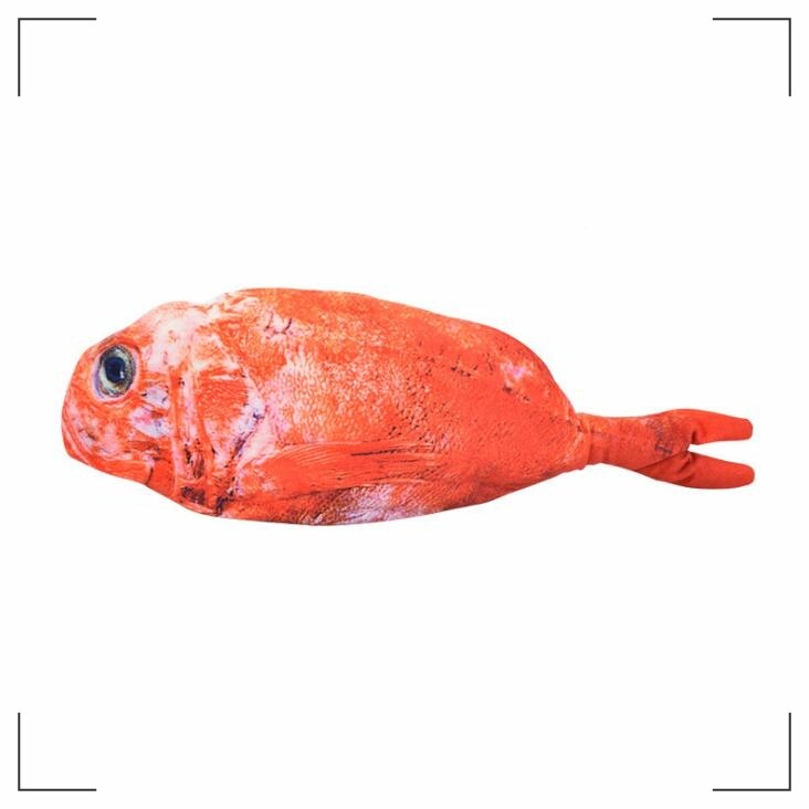 ✅พร้อมส่ง✅ ปลาดุ๊กดิ๊ก ปลาดิ้นได้ ปลาของเล่น ของเล่นแมว แถมสาย USB ชาร์จไฟได้