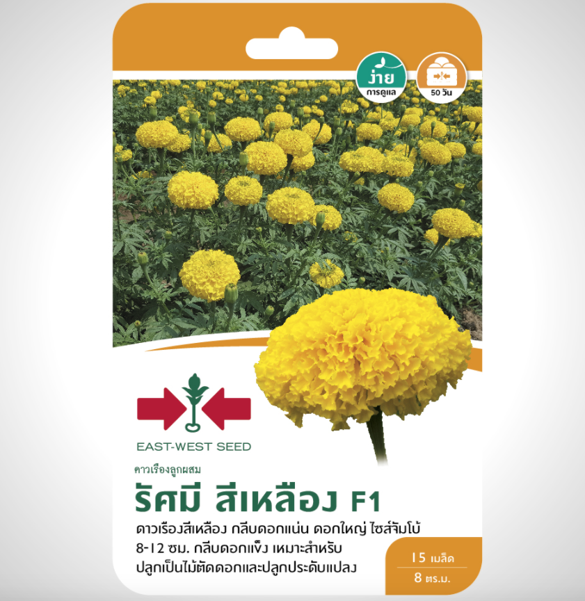 สีเหลือง-1