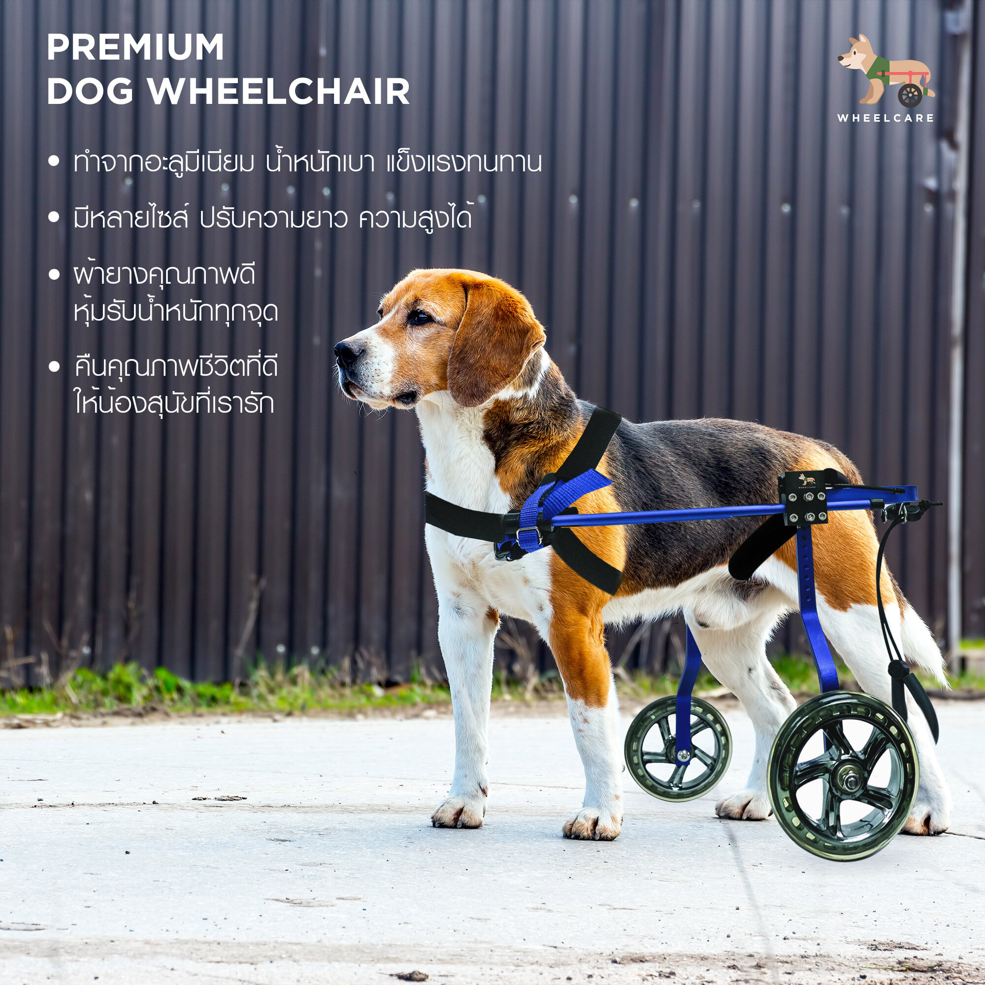 WHEELCARE - wheelchair dog วีลแชร์ สุนัข รถเข็น สำหรับสัตว์พิการขาหลัง ทำจากอลูมิเนียมอัลลอยด์ คุณภาพสูง มีหลายขนาดปรับได้ตามรูปร่าง (สีน้ำเงิน WB-1