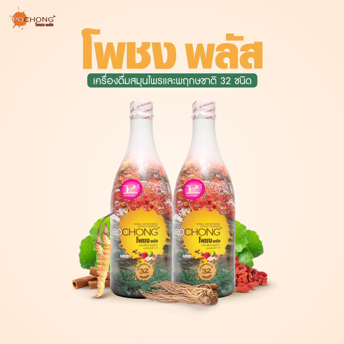 โพชง พลัส (POCHONG PLUS) 1 แถม 1 ขวดใหญ่