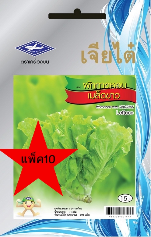 ผักกาดหอม เมล็ดขาว-0