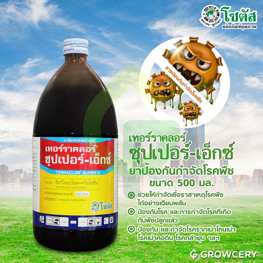 [G] เทอร์ราคลอร์ ซุปเปอร์ เอ็กซ์ สารป้องกันกำจัดโรคพืช ขนาด 500 มล. ยี่ห้อ โซตัส (ป้องกัน และกำจัดโรครากเน่าโคนเน่า) โดย GROWCERY