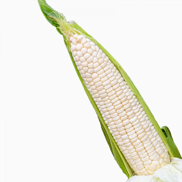 ขาวข้าวเหนียว-1