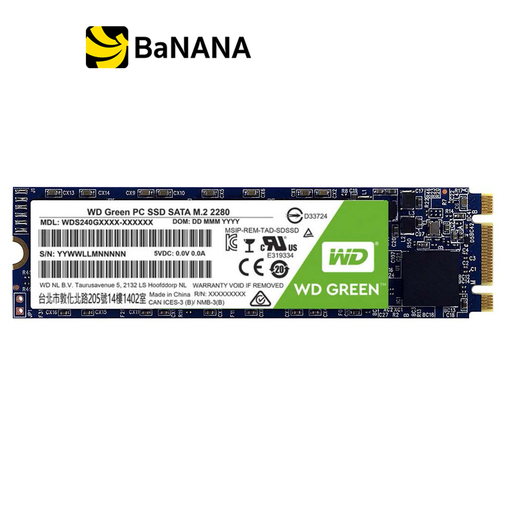 [ฮาร์ดดิสก์] WD SSD M.2 240GB R540MB/s R405MB/s Green 3 Year by Banana IT