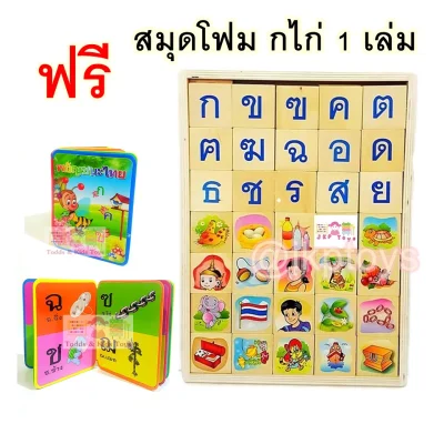 Todds & Kids Toys Thai Alphabet Learning Wooden Blocks with wooden tray